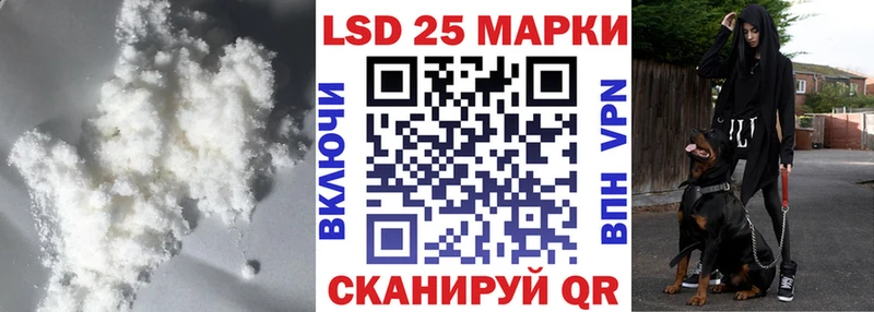 где купить наркоту  Олонец  Лсд 25 экстази ecstasy 